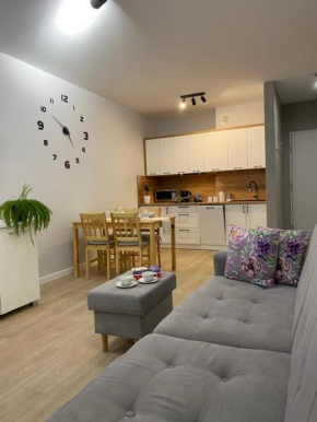 Apartament Bieszczadzkie Widoki